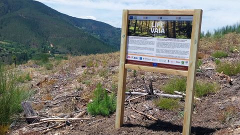 Un letrero informativo sobre el plan Life Vaia de regeneraci�n forestal que se desarrolla en la parroquia de Quint� de Lor, en Quiroga