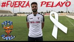 Pelayo Novo Curva Rommel