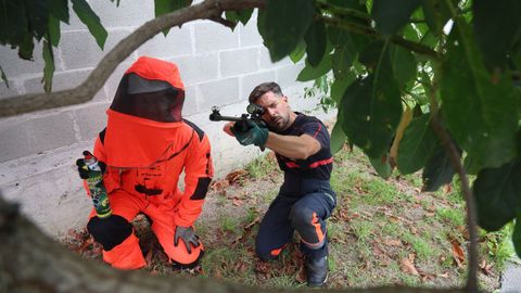 Bomberos de Ferrol, este viernes preparados contra las velutinas. 