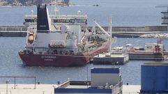 Vista parcial del muelle de Caneli�as