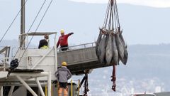 Buque descargando t�nidos en A Pobra en febrero del 2025 en A Pobra