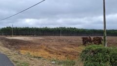 As� qued� O Balsi�o tras la tala producida este lunes 22 de agosto del 2022