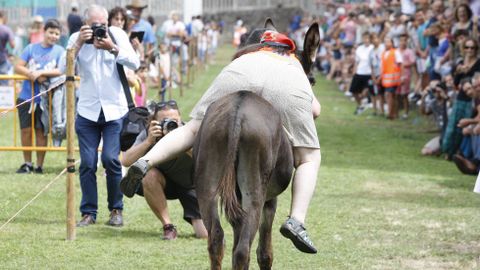 Algunos jinetes tuvieron dificultades para terminar la carrera encima de sus burros