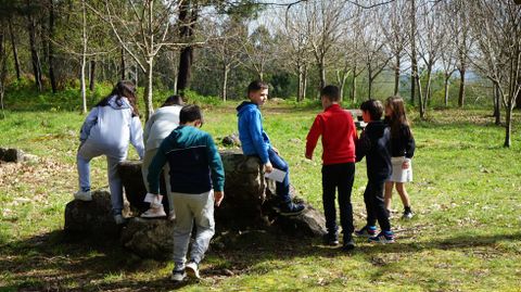 Alumnos del colegio Xos� Mar�a Brea Segade de Tarago�a