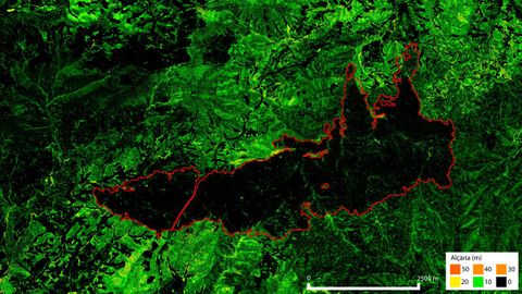 Los modelos digitales de alturas generados con el nuevo m�todo LidarTeam detectan perfectamente c�mo qued� la estructura vertical de la zona afectada por el incendio de �dena del 26 de julio de 2015. Se puede apreciar que algunas peque�as zonas mantienen la altura.