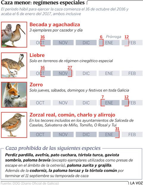 Caza menos: reg�menes especiales