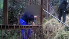 As� atraparon las c�maras a un furtivo