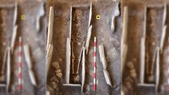 Los huesos mejor conservados, dentro de la tumba de lajas de pizarra