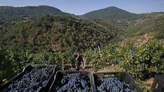 Los motivos de la Ribeira Sacra para ser Patrimonio de la Humanidad