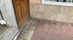 El PSOE de Chantada ilustra sus quejas por la falta de limpieza de algunas calles con esta fotograf�a de una acera llena de extrementos de aves