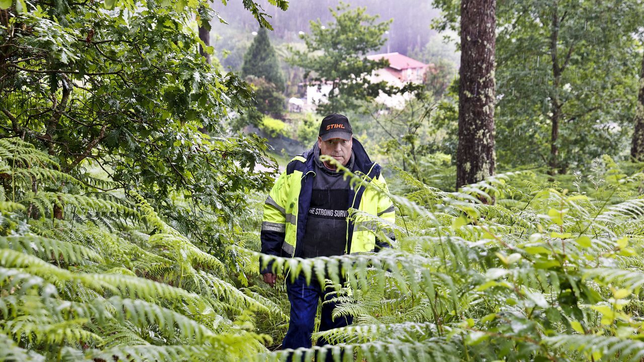 El exceso de vegetación en los montes de Vigo tras las lluvias dispara el riesgo de incendios