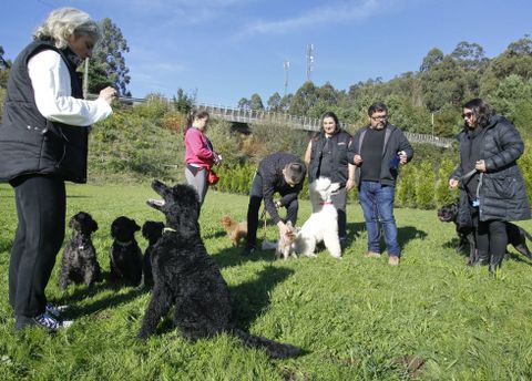 El grupo de amigos humanos y caninos, durante una de las clases