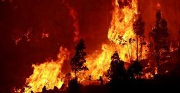 Las llamas en las plantaciones de eucaliptos situadas al pie de algunas casas de O �zaro llegaron a superar los diez metros de altura en los peores momentos.