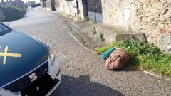 El saco con los erizos de mar y el material del que se incaut� el Seprona en Tapia