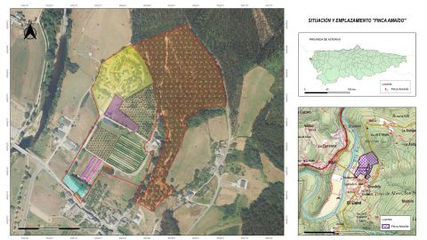 Plano de la finca de Santirso de Abres que sale a subasta