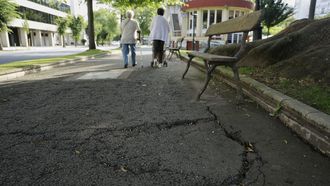 Deterioro en los jardines de M�ndez N��ez