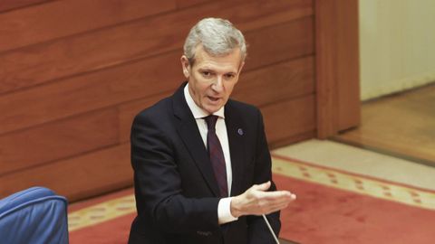 Alfonso Rueda, en una sesi�n de control al Gobierno gallego el pasado mes de enero.