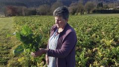 Orsita Sierra, cultivadora de la parroquia abadinense de Abeledo, con grelos de esta campa�a, que, dice, es peor que las anteriores.