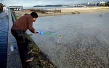 Un t�cnico tomaba ayer por la ma�ana muestras del agua apozada para su posterior an�lisis.