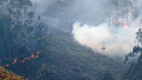 Incendio en las proximidades de Naves (Llanes)