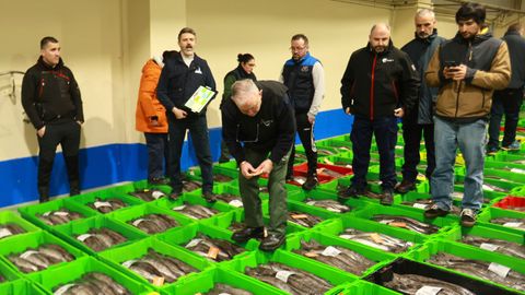 Un comprador marcando las cajas de merluza de volanta que adquiri� en la subasta en Celeiro, el 5 de marzo del 2026.