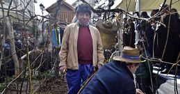 La carroza de Botos inclu�a todo el proceso del vino, incluida una poda real de las vides.
