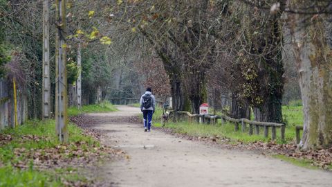 Las riberas del Mio, a su paso por Ourense, son un lugar ideal para las caminatas en el arranque del ao