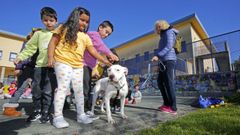 El perro Horus, de la protectora Os Palleiros, visit� el CEIP San Benito de L�rez el pasado 27 de marzo