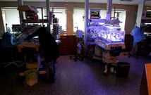 El 70 % de las plazas de pediatr�a del Cl�nico estaban ayer ocupadas con ingresos. 