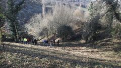 Las vacas cachenas se criar�n en unos terrenos de la parroquia de Trascastro que fueron limpiados de maleza