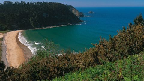 Playa de San Pedro de la Ribera, en Cudillero