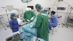 Estudiantes de la Facultad de Lugo haciendo pr�cticas en un hospital veterinario