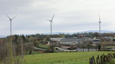 Un parque eólico de Endesa en Galicia