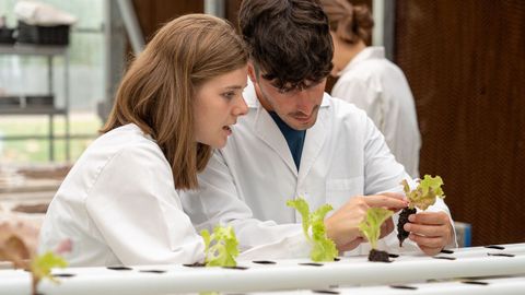 Investigadores en los laboratorios universitarios