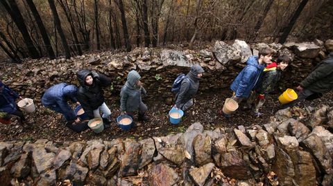 La replantaci�n se llev� a cabo en terrenos particulares en los que ardieron bosques enteros