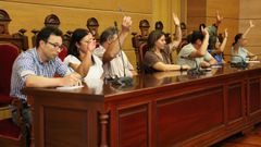 Un momento del �ltimo pleno extraordinario en Cambados