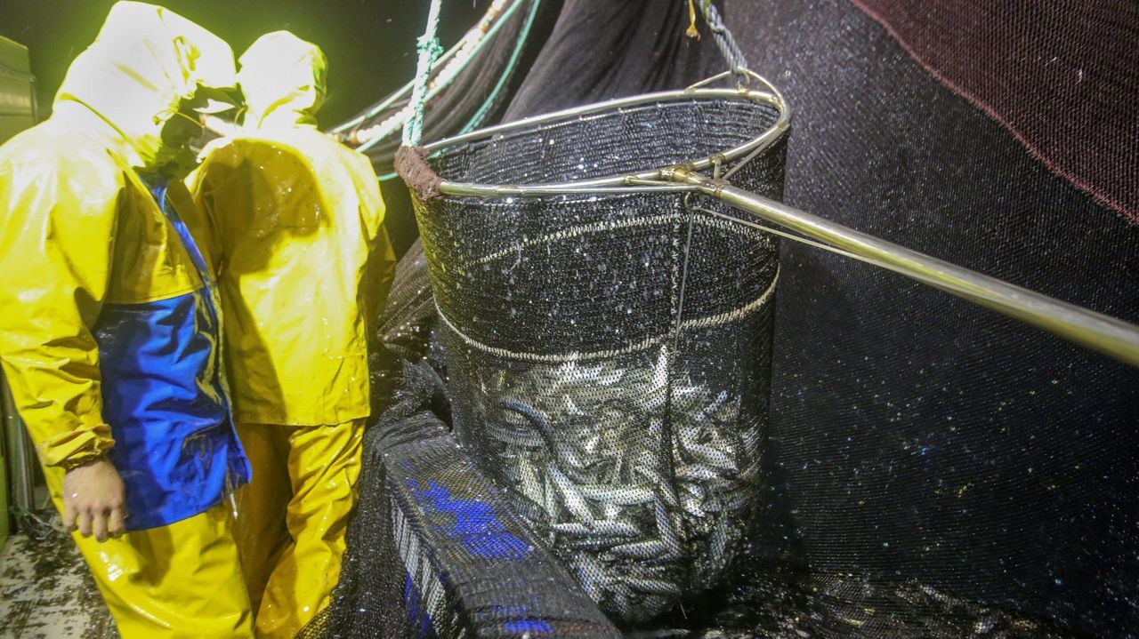 Pesca indigna a barcos gallegos al dejarles la mitad de sardina que a andaluces que venden cupos sin cogerlos