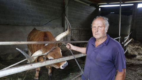 Pepe do Chacino, con uno de sus animales, que espera vender en la prxima primavera