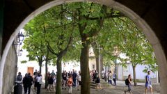 El nuevo &aacute;rbol que se plantar&aacute; en la plaza de Santa B&aacute;rbara se unir&aacute; a los siete ya existentes.