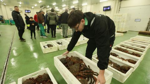 Subasta de centolla en Burela