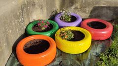 Roban las flores que estaban cuidando los ni�os del colegio de O Feal, en Nar�n