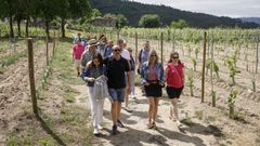 Imagen de archivo de una actividad de enoturismo en Cenlle