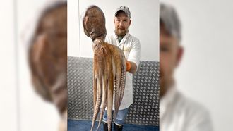 Pescador del Reino Unido con un pulpo capturado en aguas brit�nicas