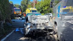 El conductor era el �nico ocupante del coche siniestrado.