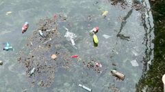 Imagen compartida por Mar de F&aacute;bula 