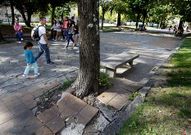 Las ra�ces de los �rboles han levantado buena parte del pavimento de la zona central del parque. 
