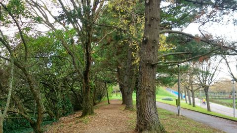 Parque de Moreda, en Gij�n
