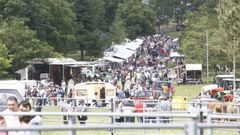 La Rapa das Bestas de Candaoso el a�o pasado