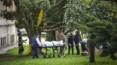 La retirada del cuerpo de la persona que apareció muerta en la Alameda de Pontevedra.