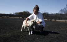 Agustina �lvarez, con un cordero de la explotaci�n que su marido tiene en Vilela (Cualedro). 